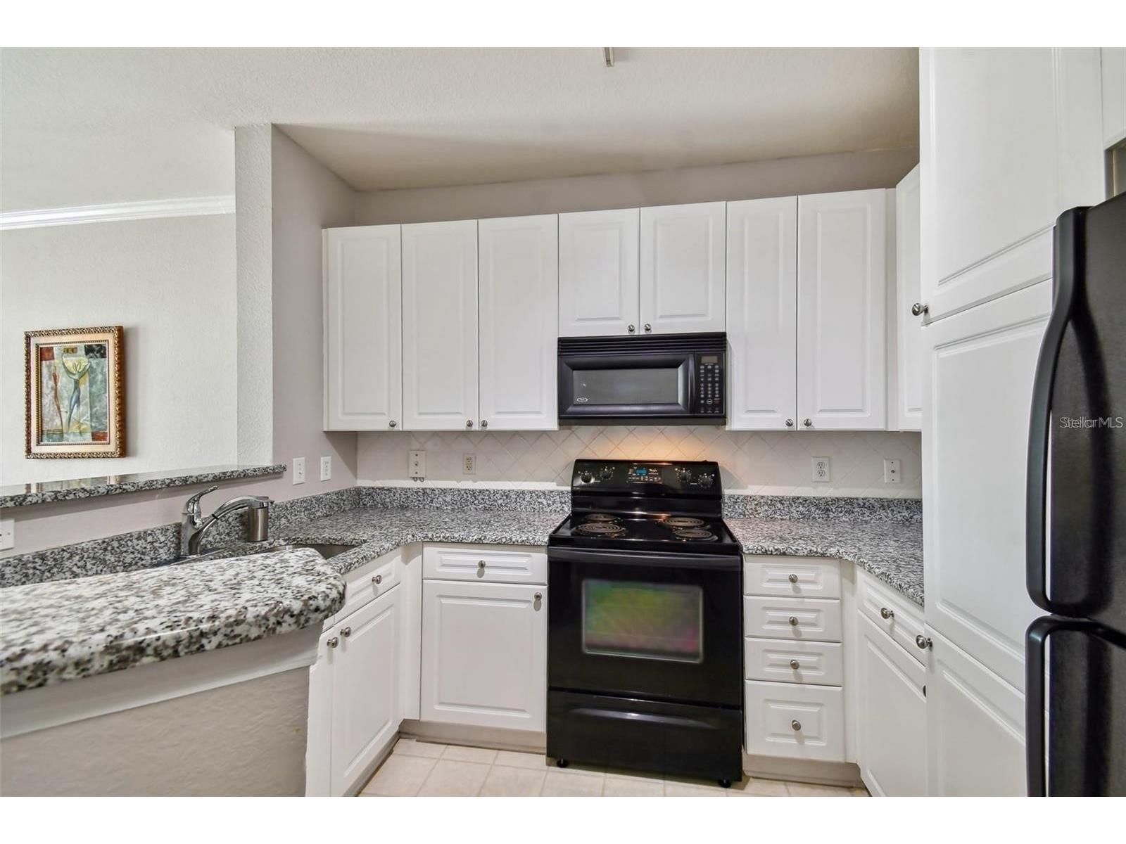 4221 W Spruce Street #2323 Tampa FL 33607 TB8515359 image6