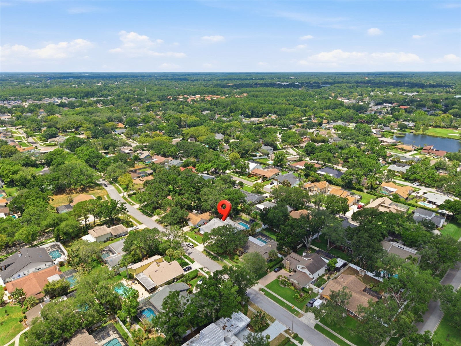 4221 Water Oaks Lane Tampa FL 33618 TB8509306 image75