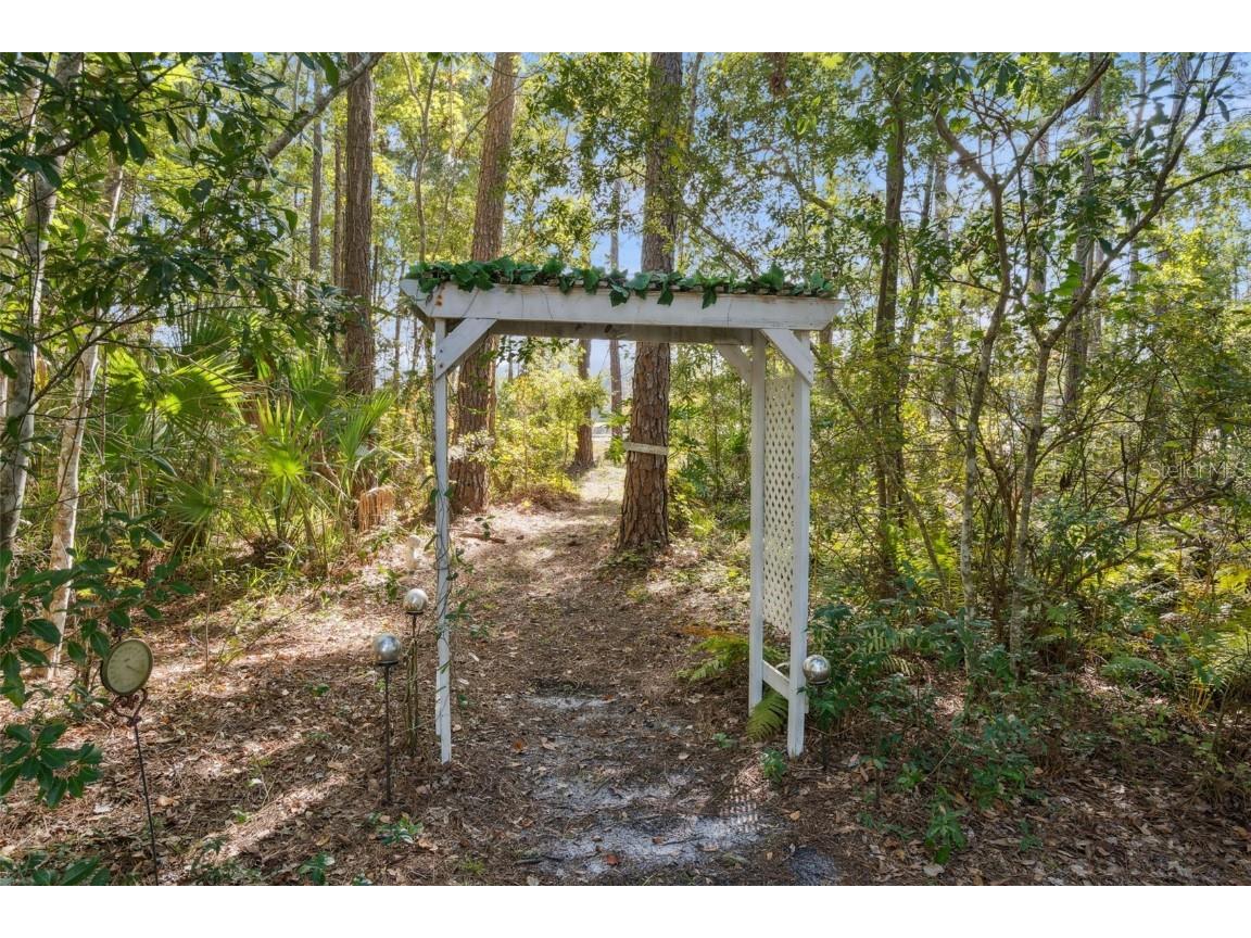 42211 Maggie Jones Road Paisley FL 32767 G5104048 image15