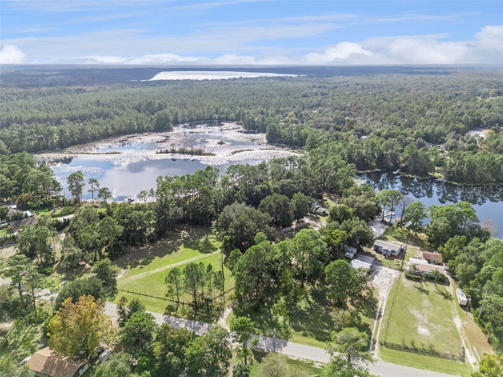 42211 Maggie Jones Road Paisley FL 32767 G5104048 image19