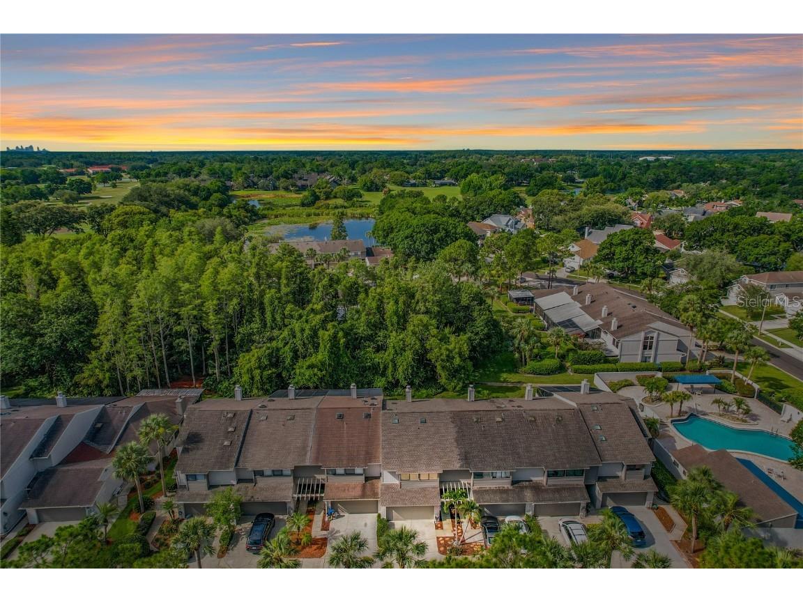 4222 Forester Lane Tampa FL 33618 T3450602 image1