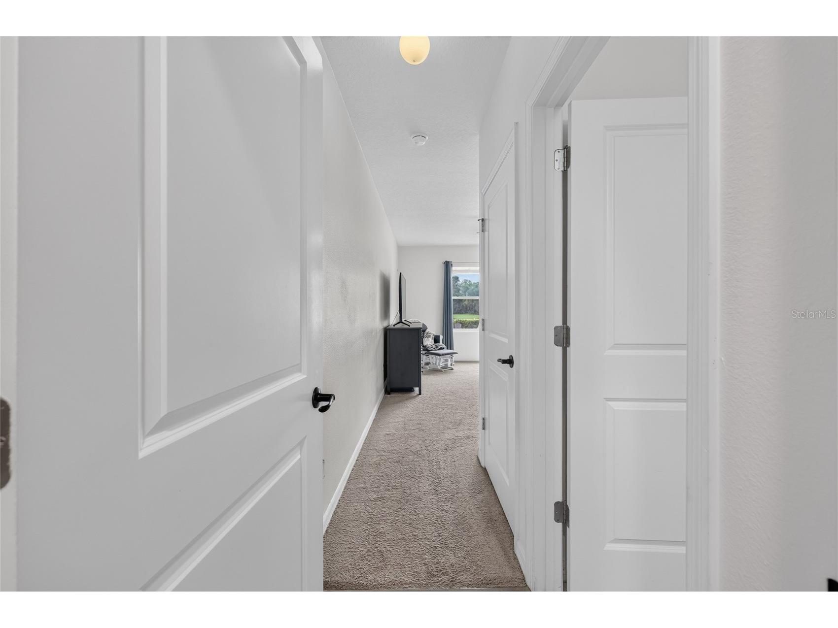 4222 NE 29th Place Ocala FL 34470 OM728356 image18