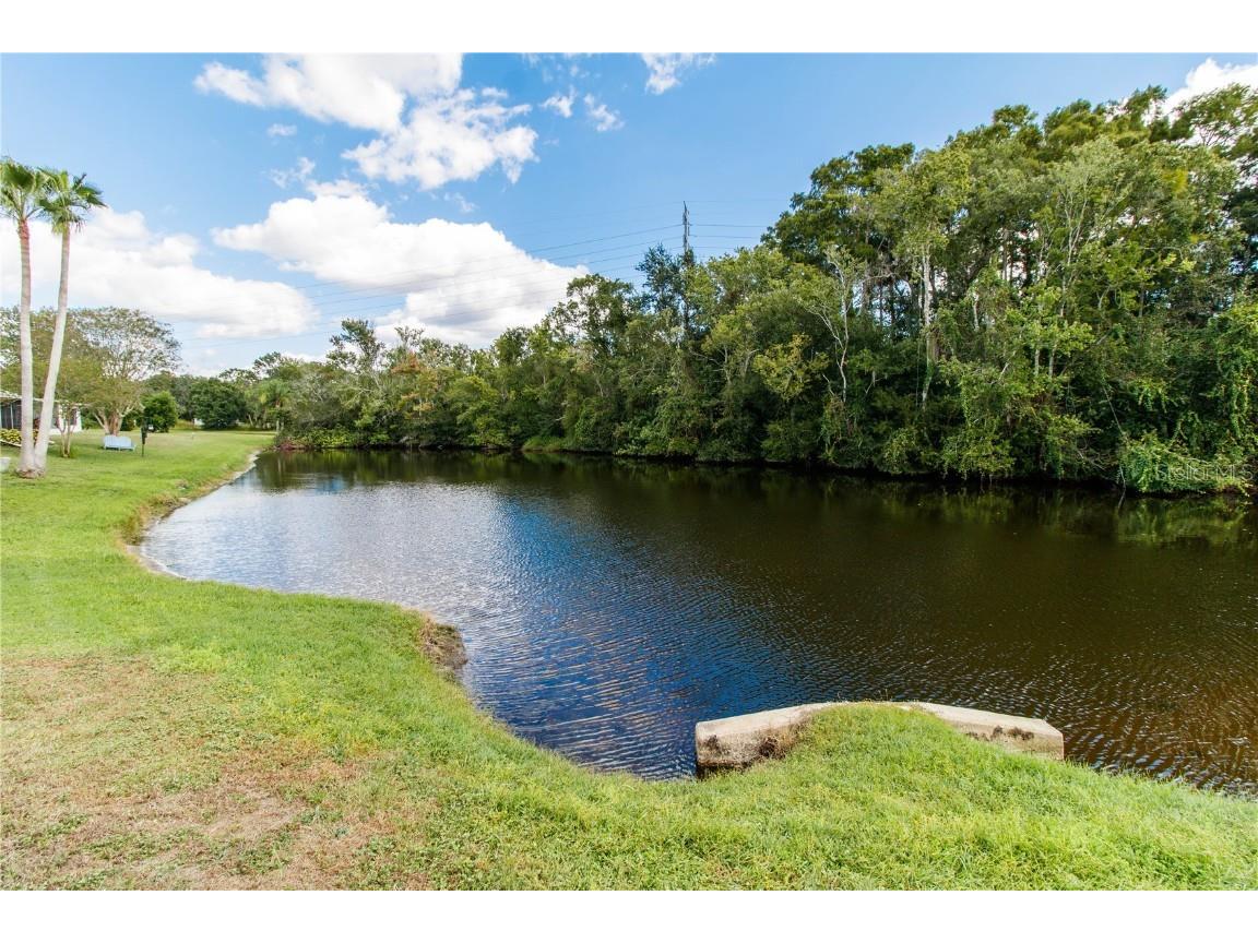 4222 Northampton Drive New Port Richey FL 34653 TB8439041 image2
