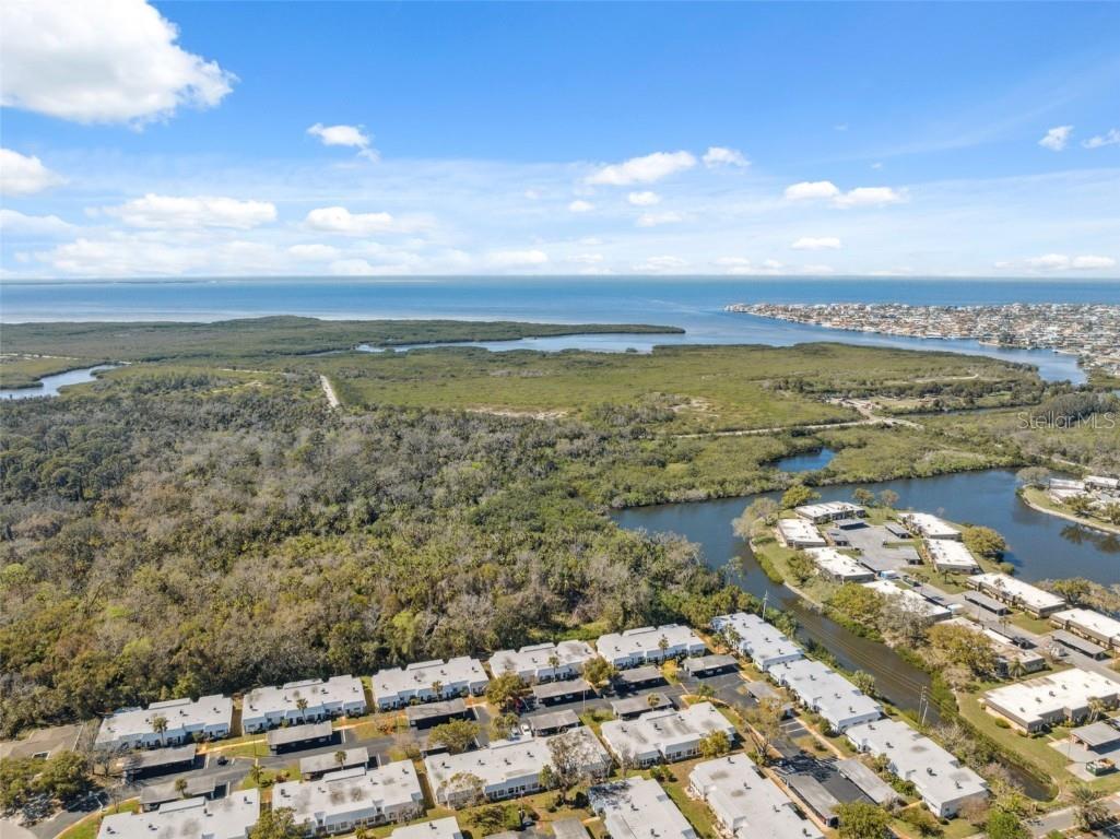 4222 Richmere Drive #4222 New Port Richey FL 34652 TB8354870 image33