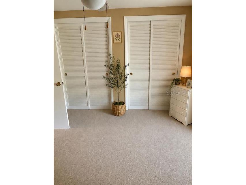 4222 Richmere Drive New Port Richey FL 34652 TB8527355 image7