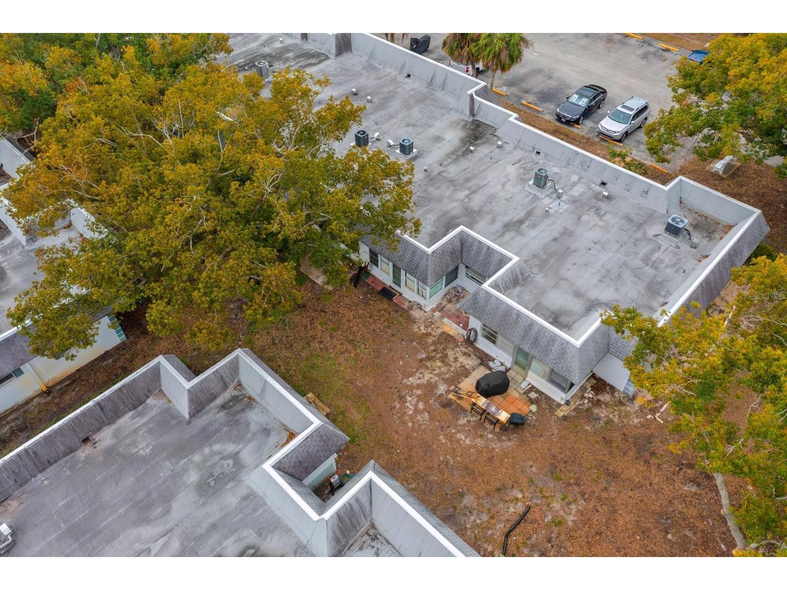 4222 Trucious Place #- New Port Richey FL 34652 TB8463559 image20