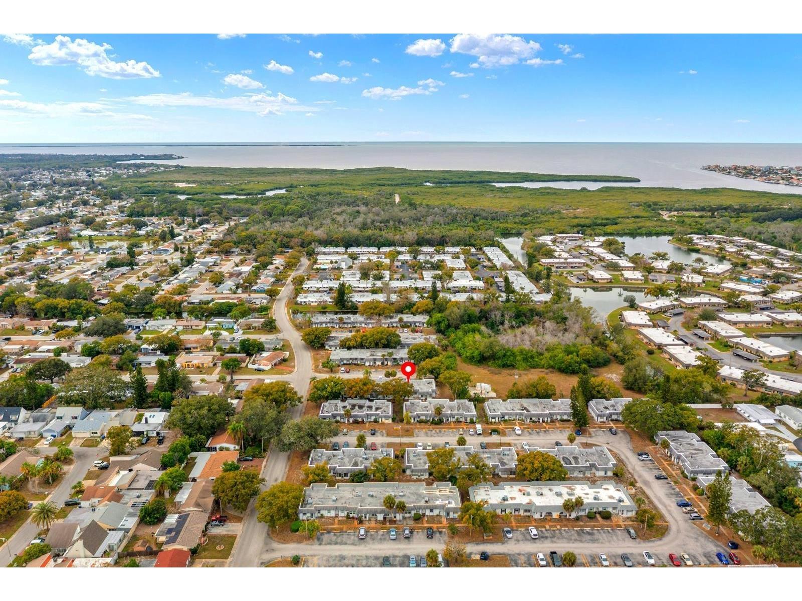 4222 Trucious Place #- New Port Richey FL 34652 TB8463559 image23