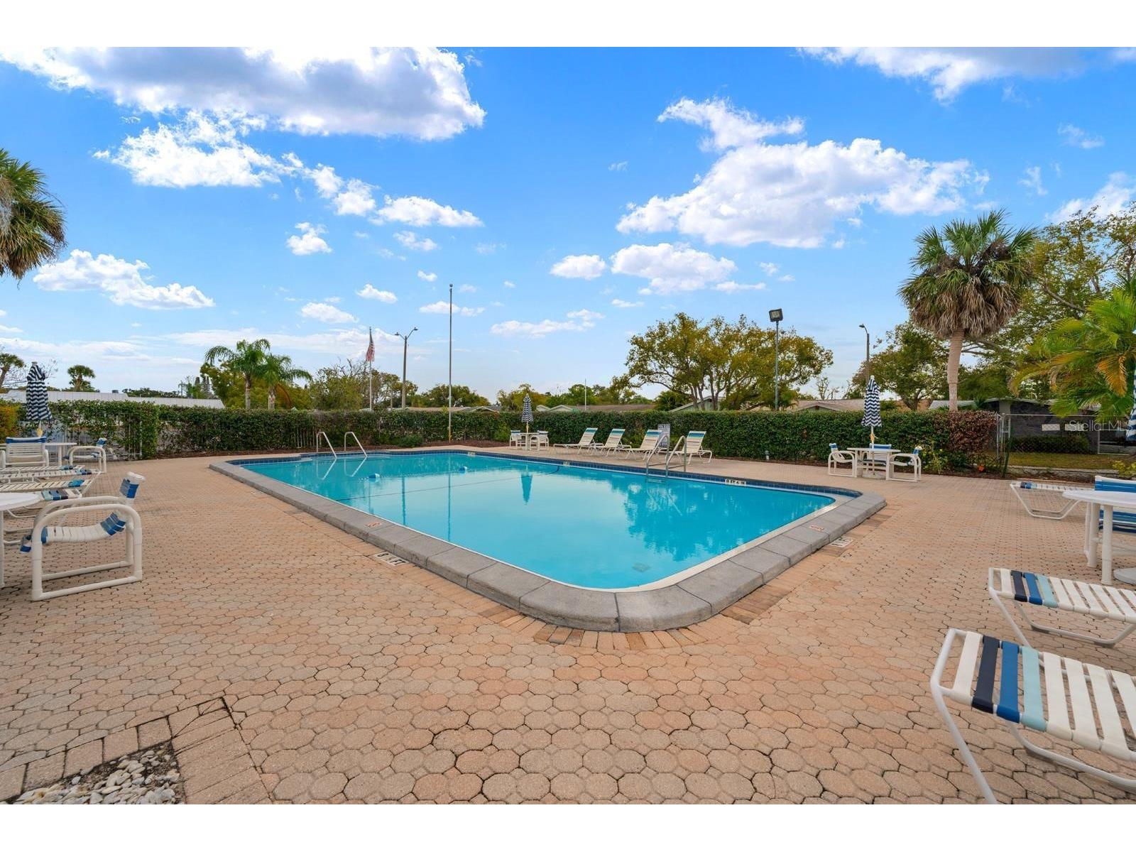 4222 Trucious Place #- New Port Richey FL 34652 TB8463559 image25