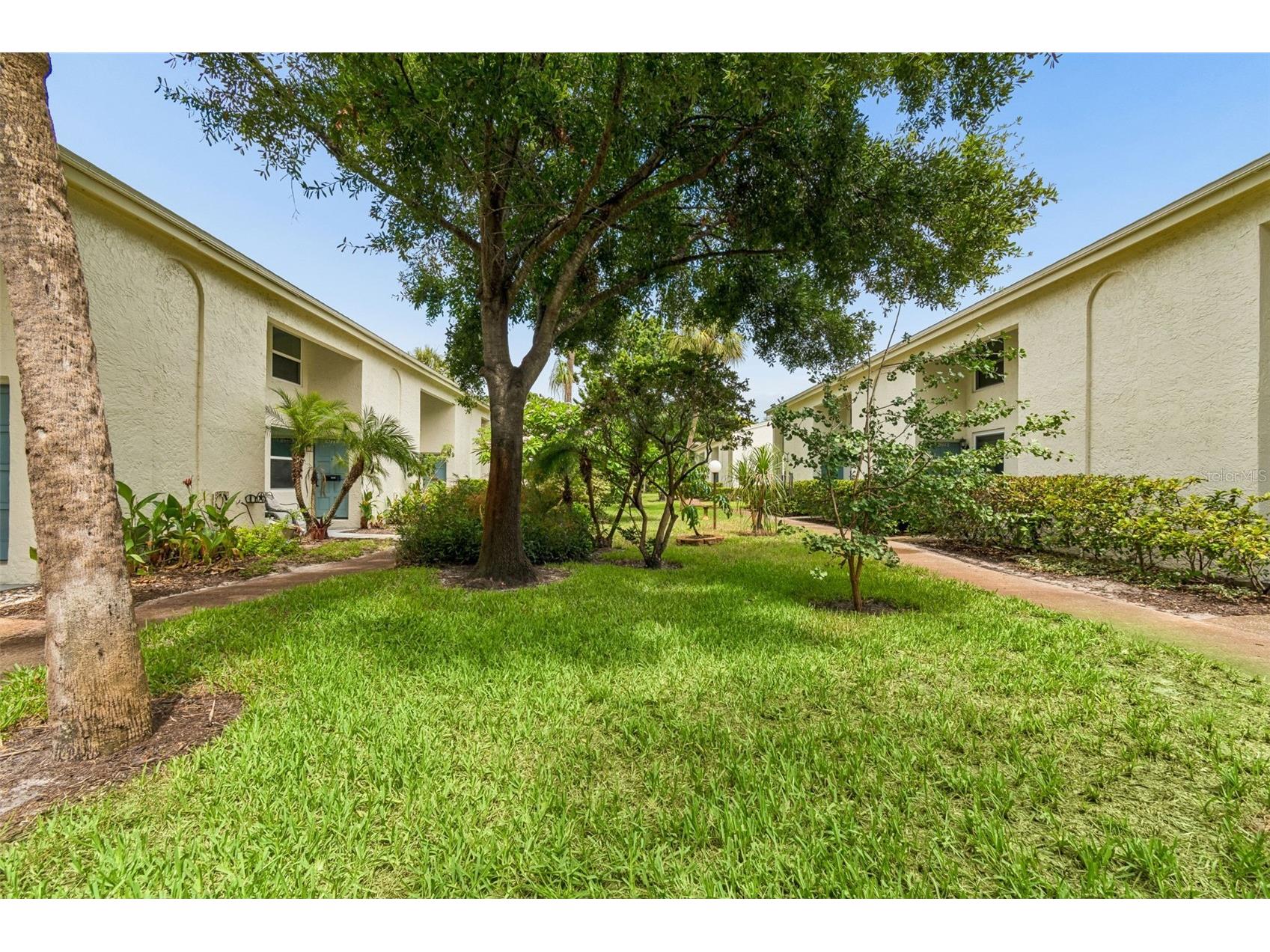 4223 La Palma Court Tampa FL 33611 TB8526533 image44