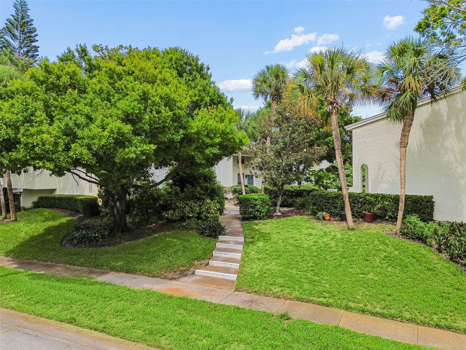 4223 La Palma Court Tampa FL 33611 TB8526533 image45