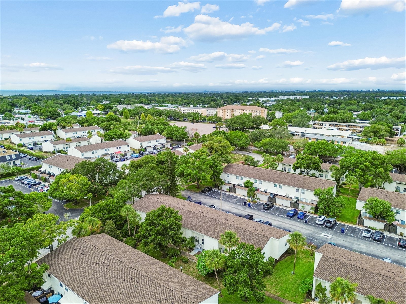 4223 La Palma Court Tampa FL 33611 TB8526533 image48