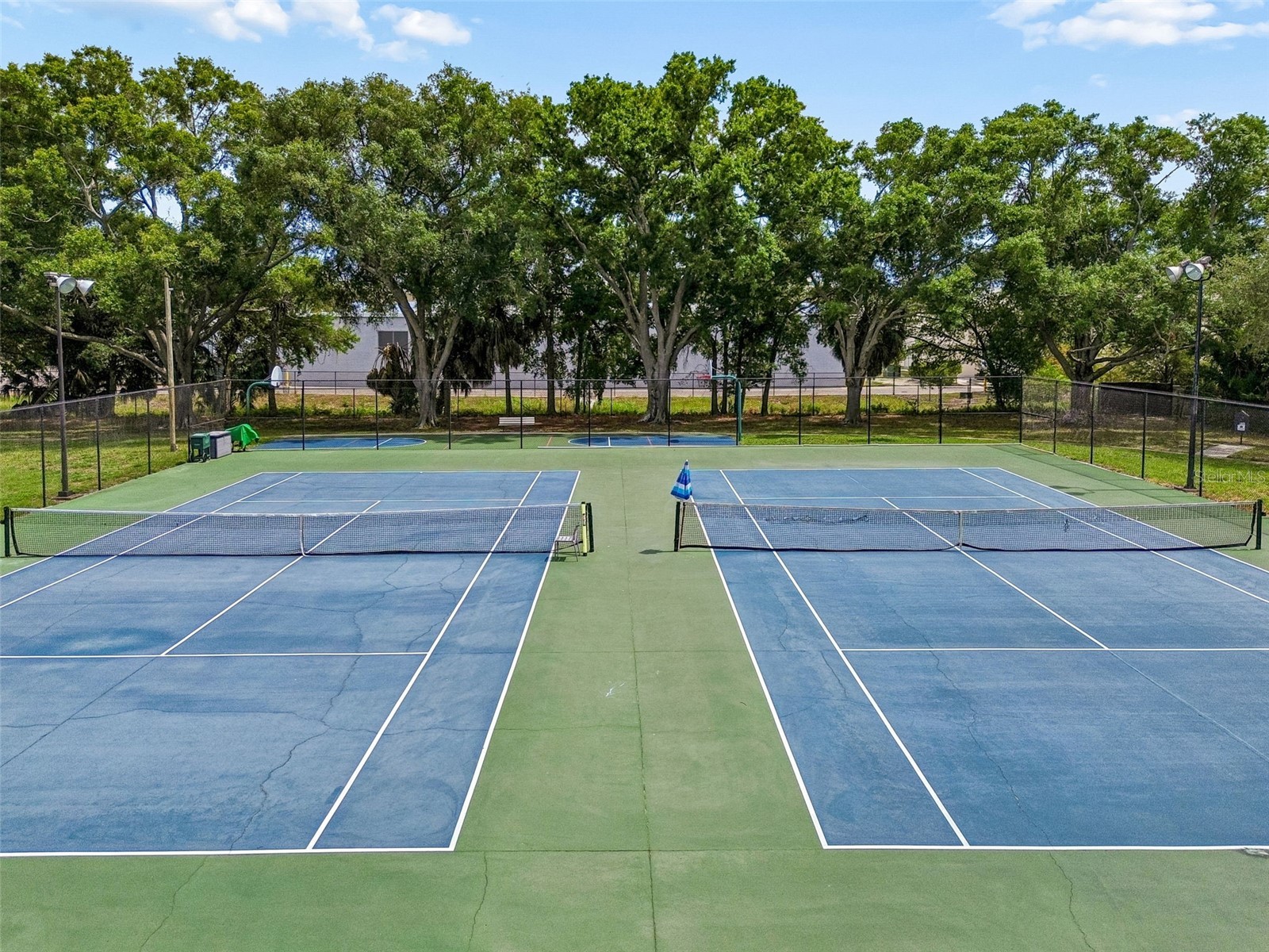 4223 La Palma Court Tampa FL 33611 TB8526533 image61