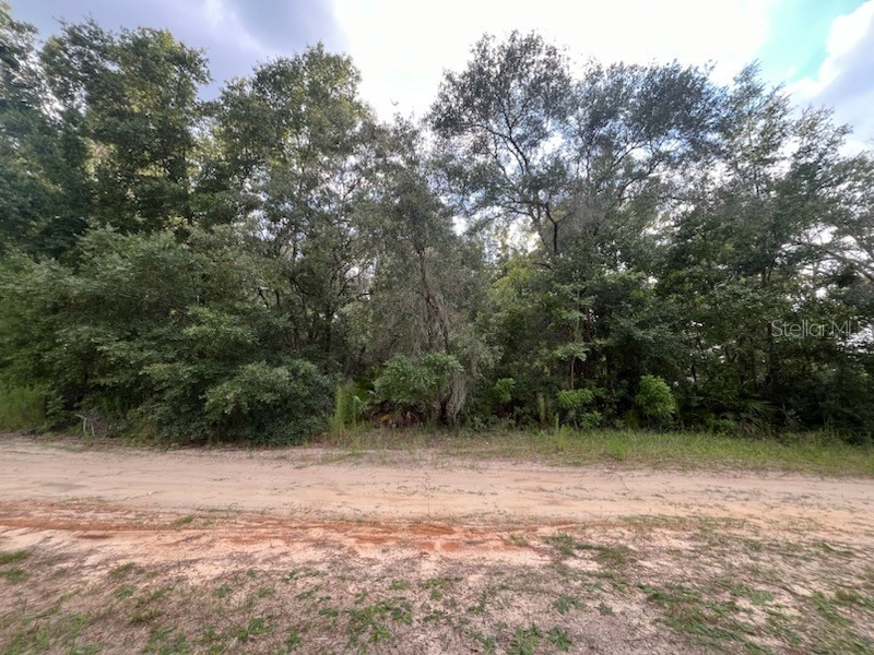 4223 N Mandrake Point Crystal River FL 34428 OK224109 image1