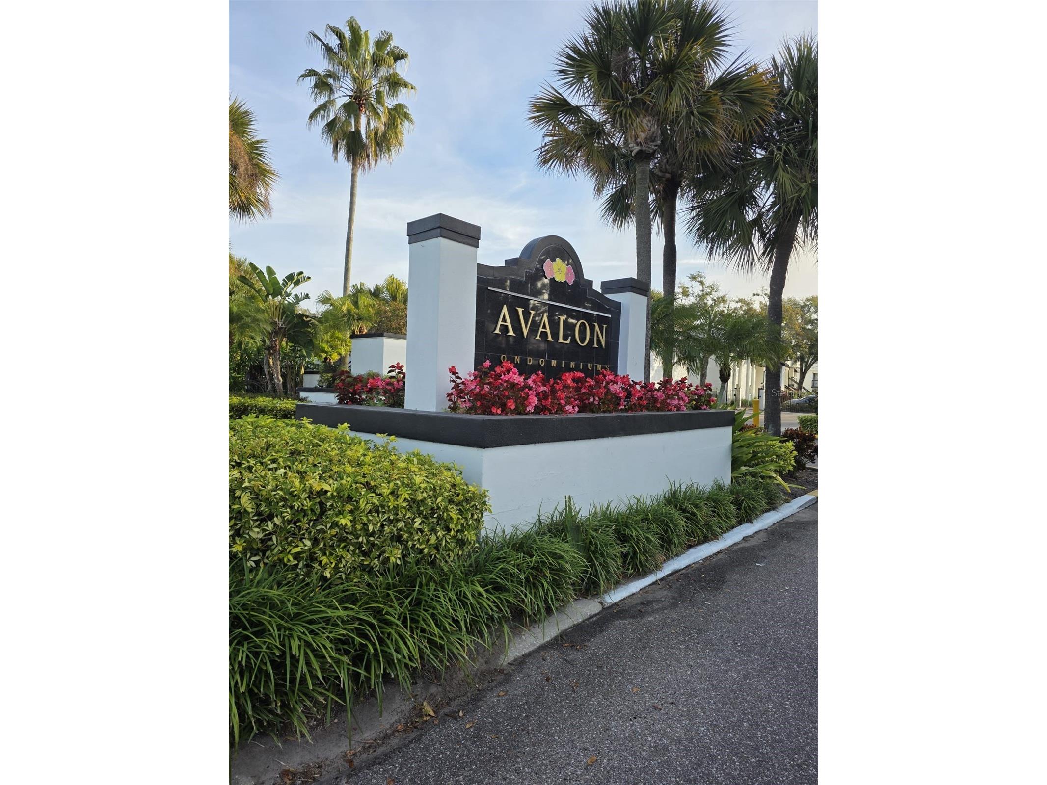 4223 S Semoran Boulevard #5 Orlando FL 32822 S5142884 image1