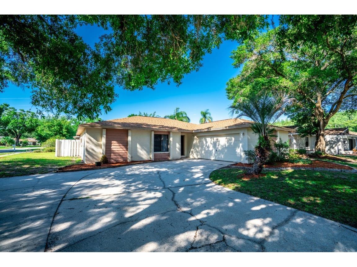 4223 Summerdale Drive Tampa FL 33624 T3499821 image1