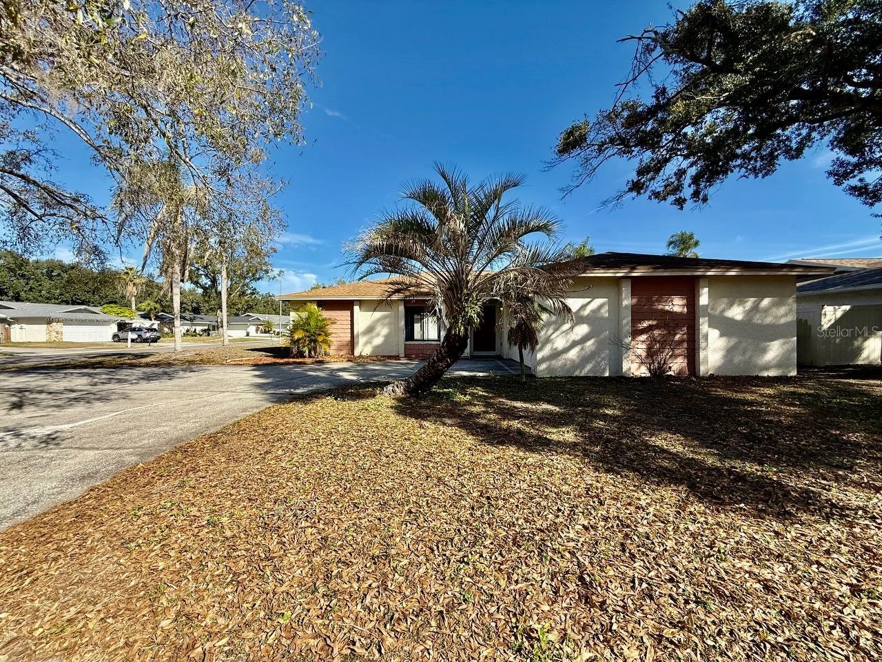 4223 Summerdale Drive Tampa FL 33624 TB8466583 image1