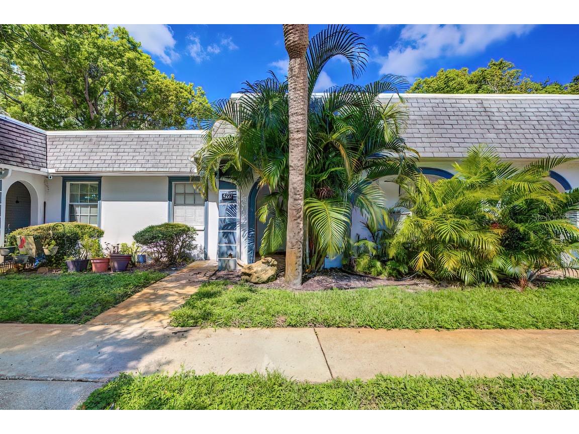 4223 Touchton Place #C New Port Richey FL 34652 U8231937 image1