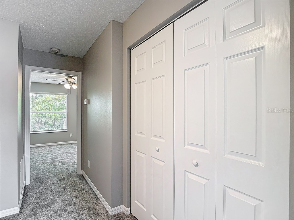 4223 Winding River Way Land O Lakes FL 34639 TB8443372 image22