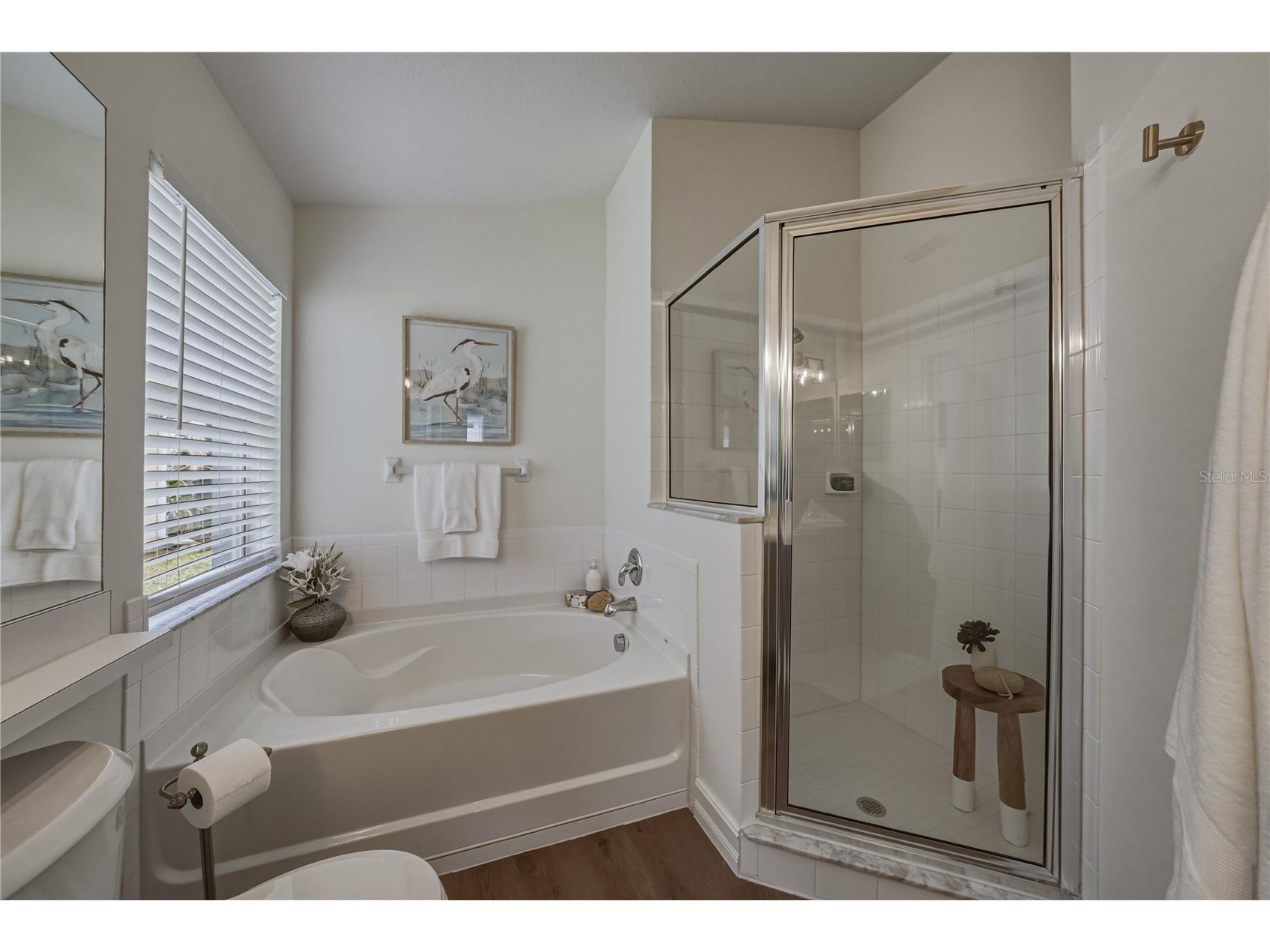 4224 Branchside Lane Wesley Chapel FL 33543 TB8513429 image31