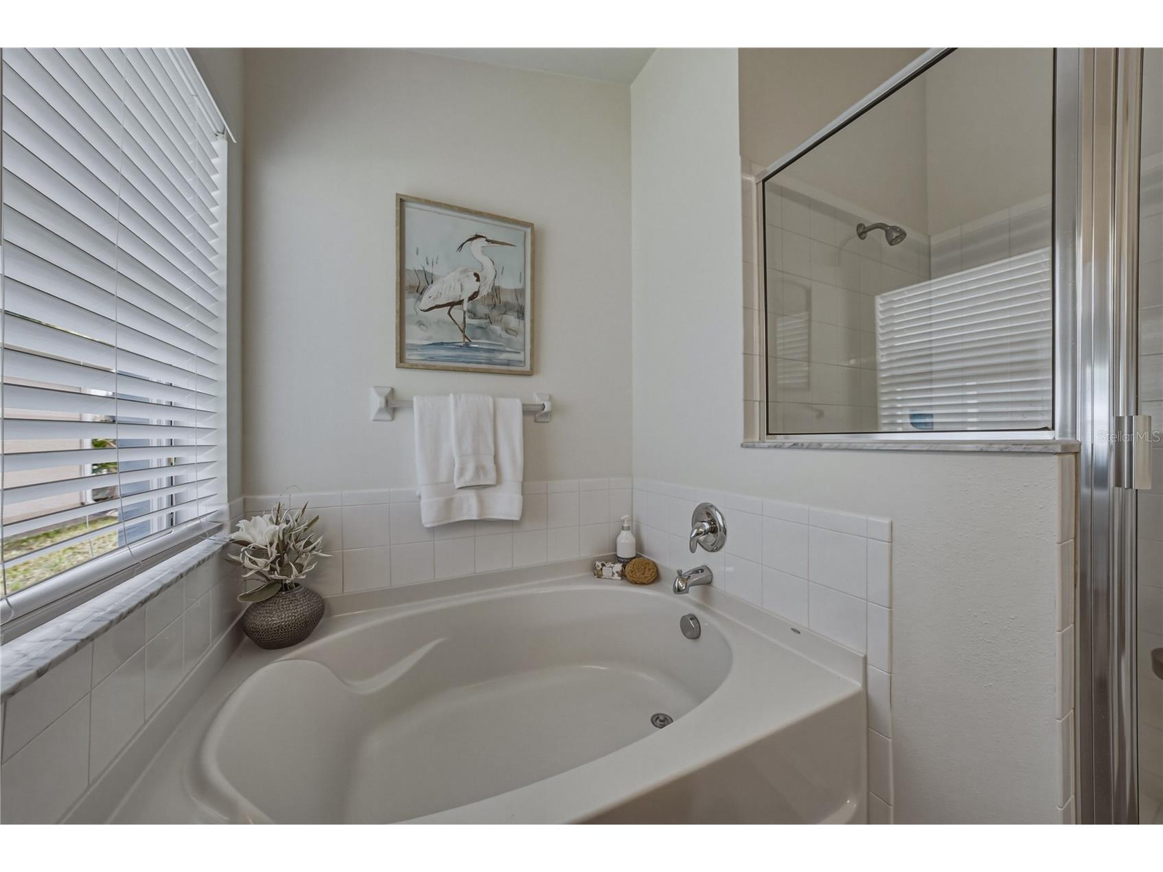 4224 Branchside Lane Wesley Chapel FL 33543 TB8513429 image32