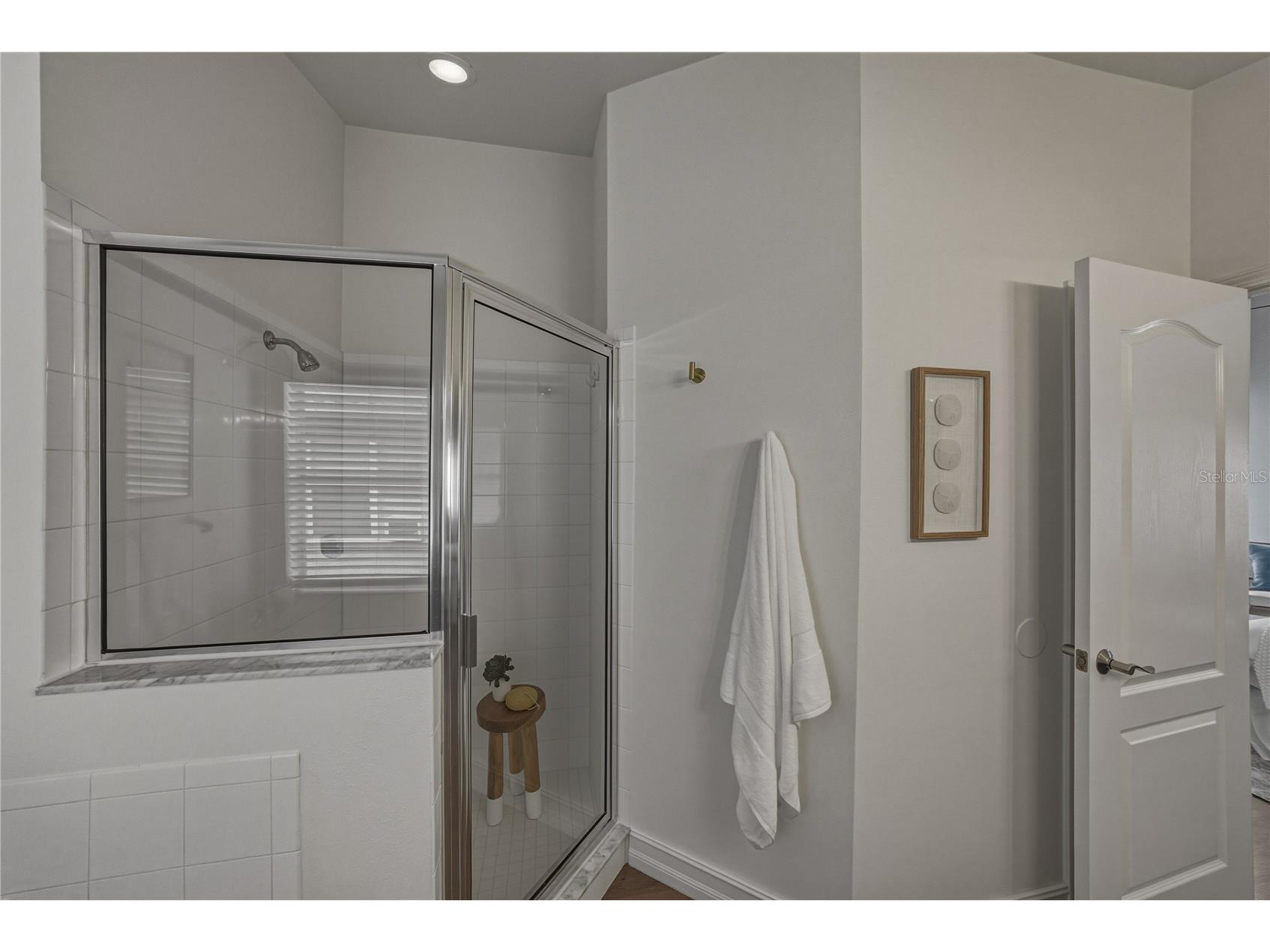 4224 Branchside Lane Wesley Chapel FL 33543 TB8513429 image34