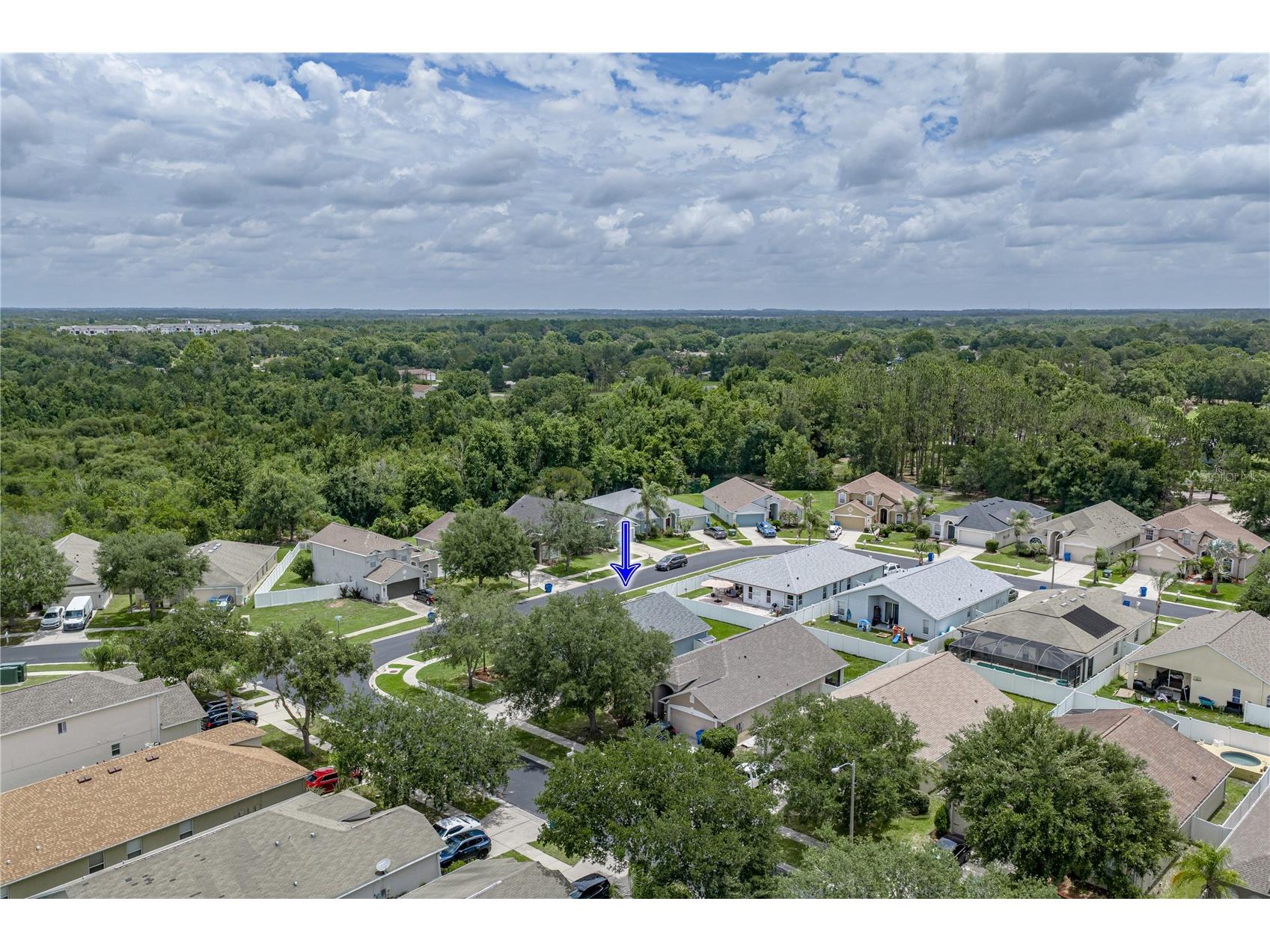 4224 Branchside Lane Wesley Chapel FL 33543 TB8513429 image77
