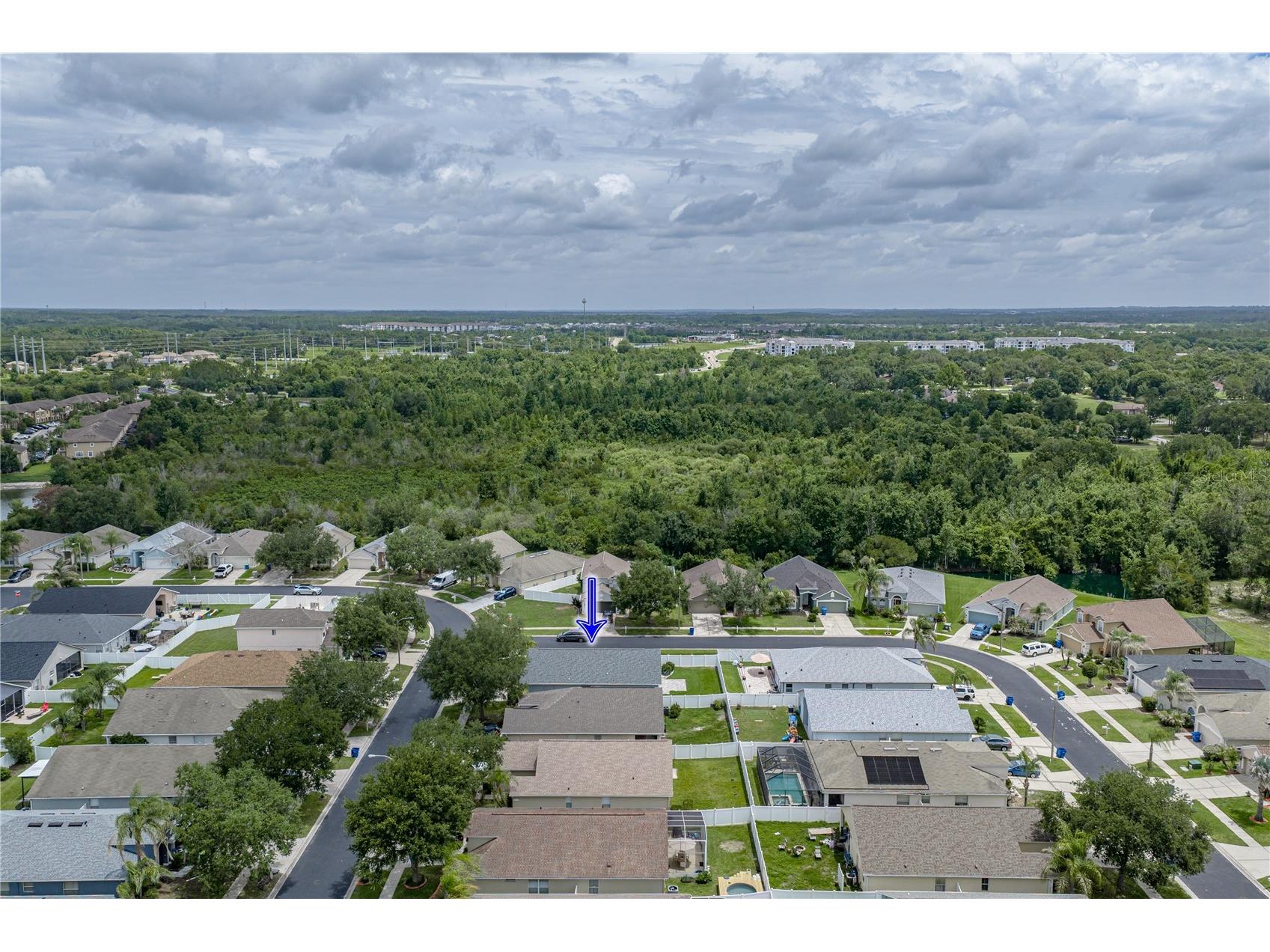 4224 Branchside Lane Wesley Chapel FL 33543 TB8513429 image78