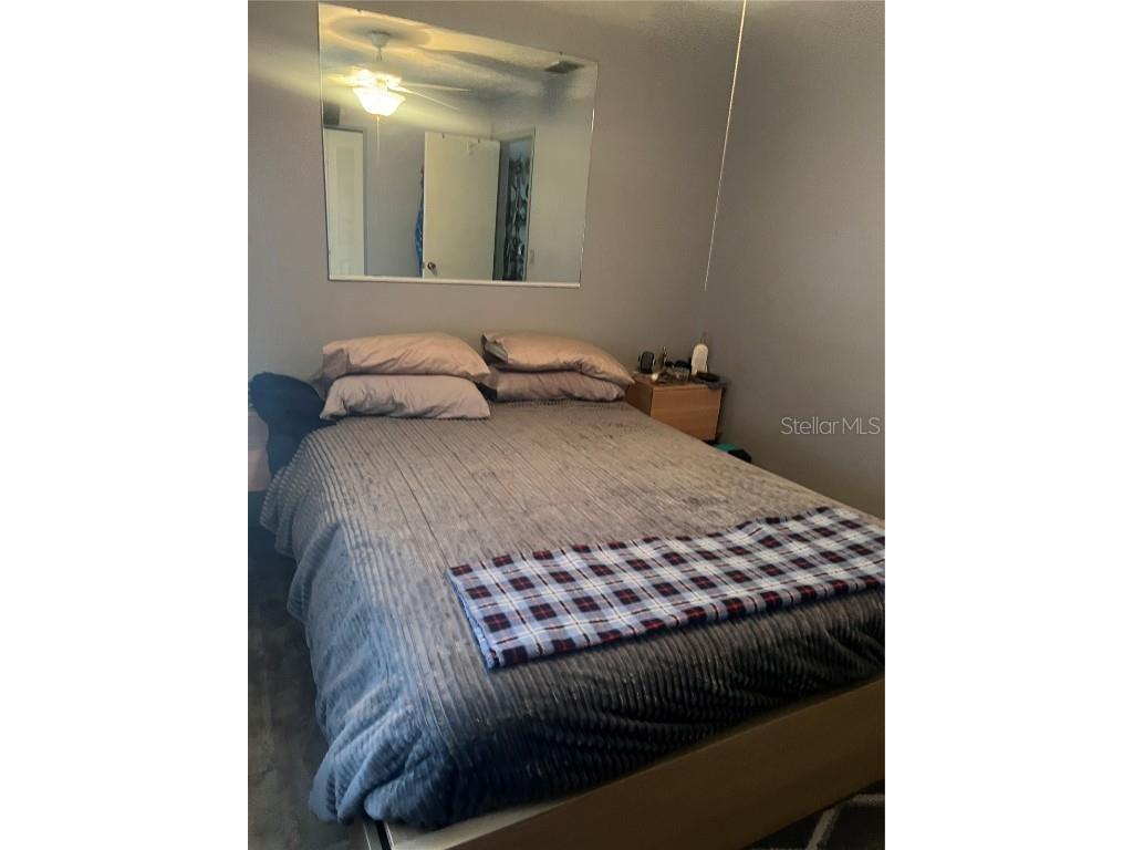 4224 E Bird Street Tampa FL 33617 TB8453314 image5