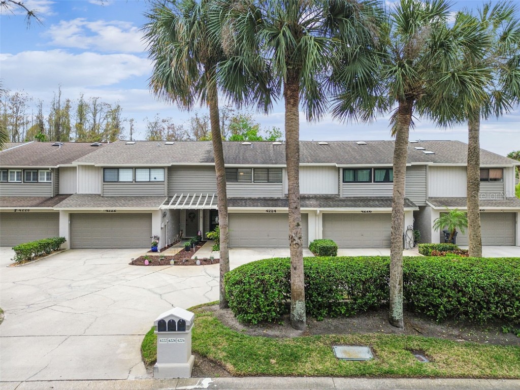 4224 Forester Lane Tampa FL 33618 T3508967 image1