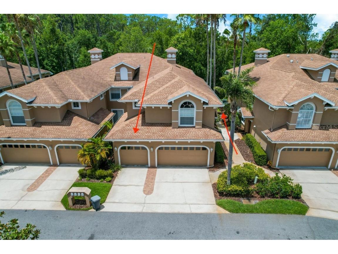 4224 Preserve Place Palm Harbor FL 34685 TB8348361 image1
