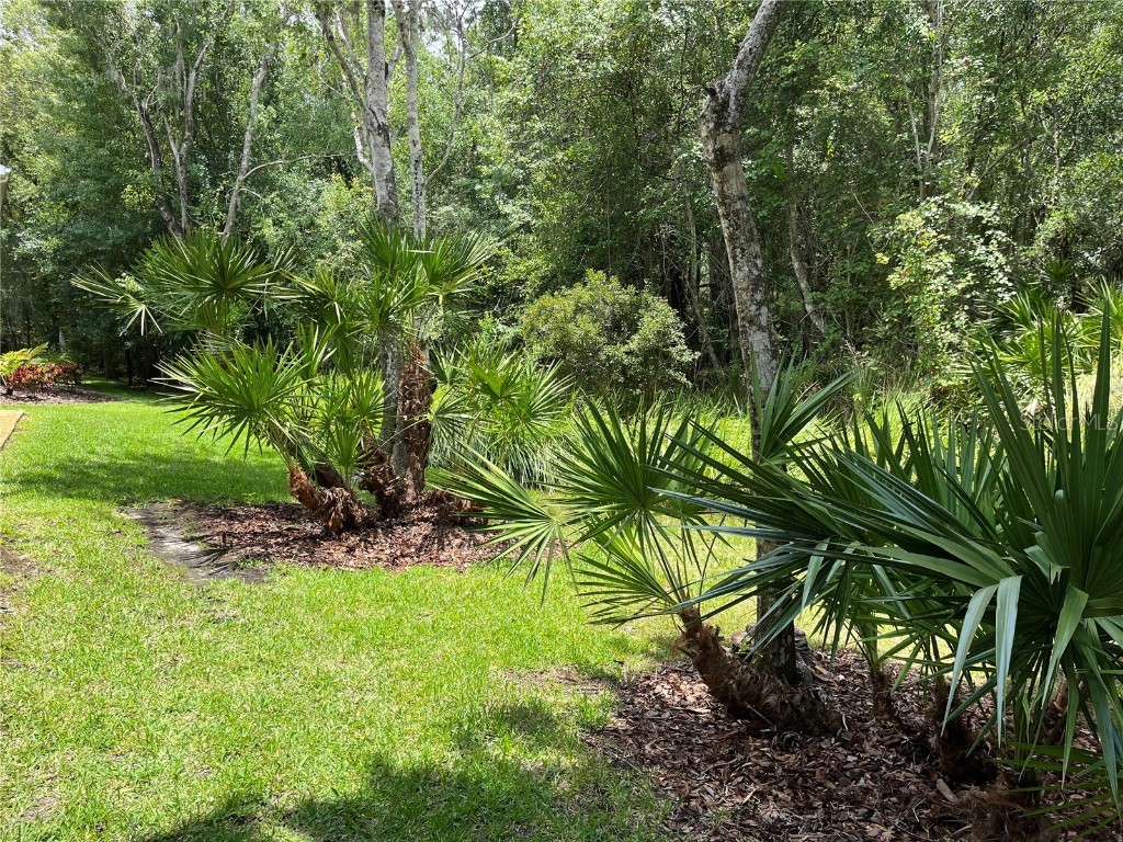 4224 Preserve Place Palm Harbor FL 34685 TB8348361 image11