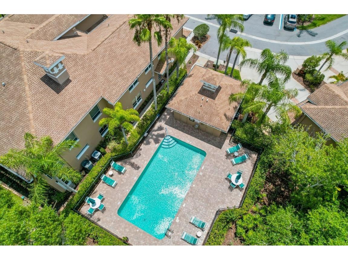 4224 Preserve Place Palm Harbor FL 34685 TB8348361 image2