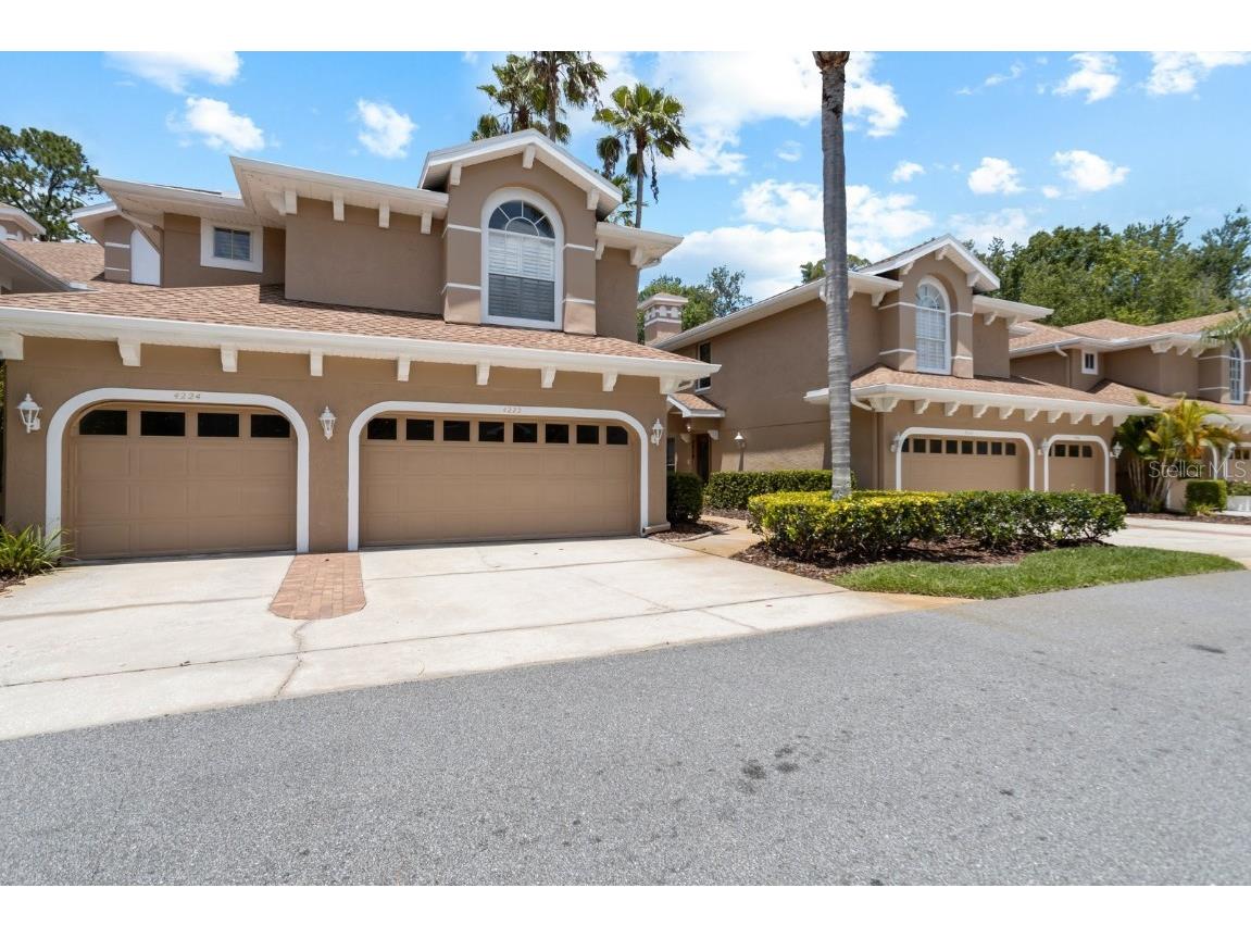 4224 Preserve Place Palm Harbor FL 34685 TB8348361 image29