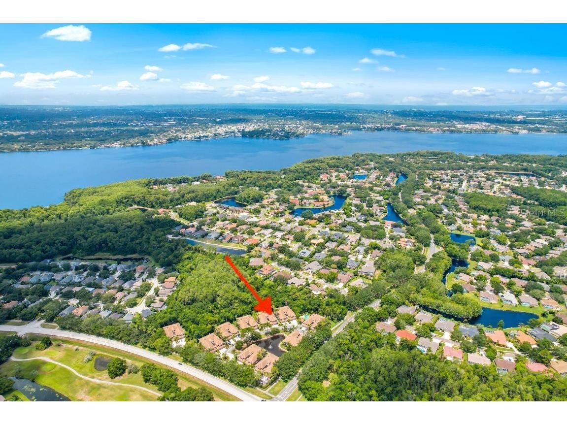 4224 Preserve Place Palm Harbor FL 34685 TB8348361 image3