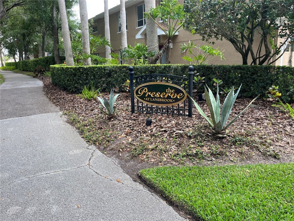 4224 Preserve Place Palm Harbor FL 34685 TB8348361 image30