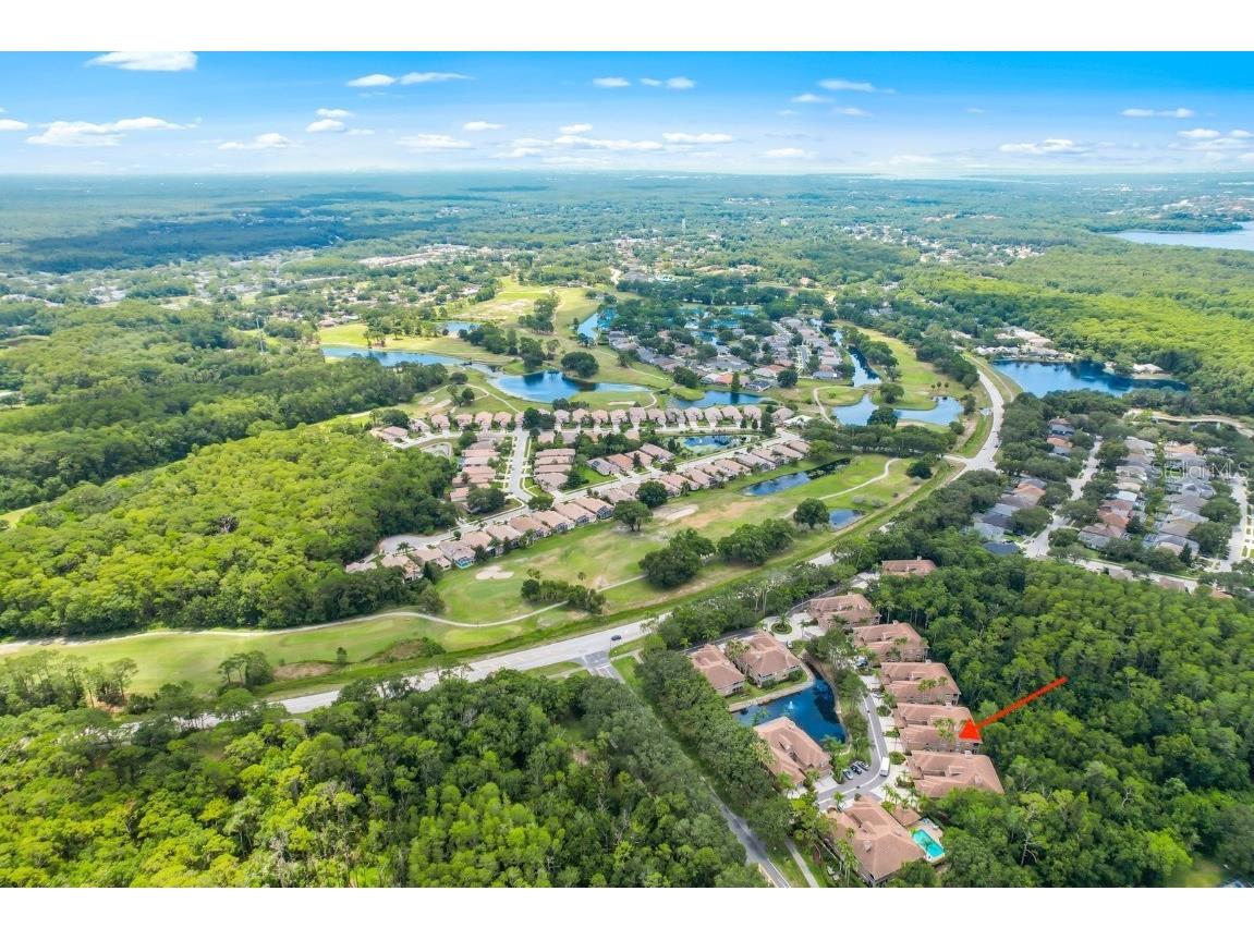 4224 Preserve Place Palm Harbor FL 34685 TB8348361 image4