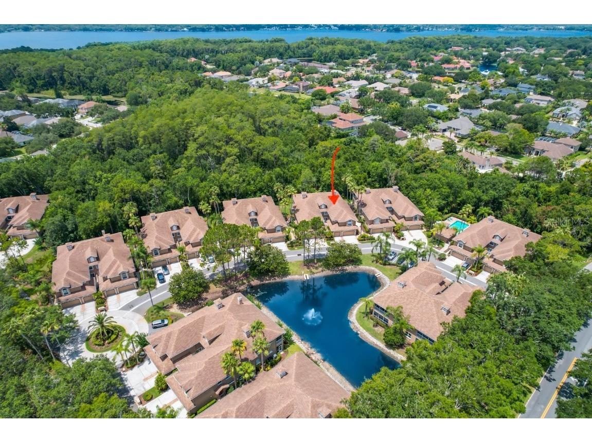 4224 Preserve Place Palm Harbor FL 34685 TB8348361 image5