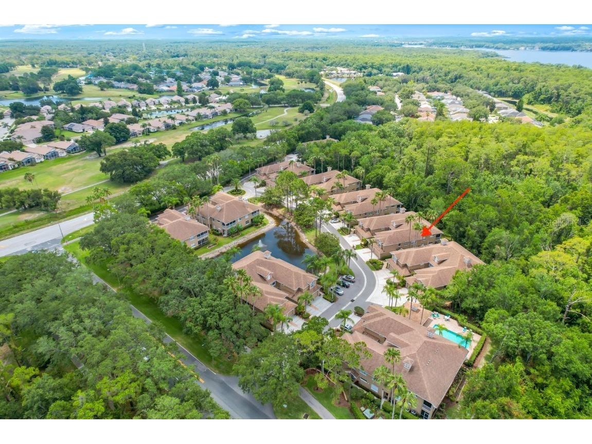 4224 Preserve Place Palm Harbor FL 34685 TB8348361 image6