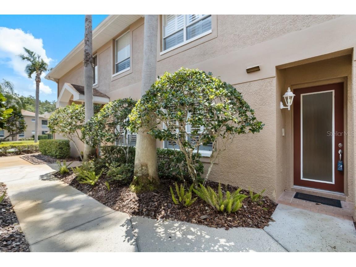 4224 Preserve Place Palm Harbor FL 34685 TB8348361 image7
