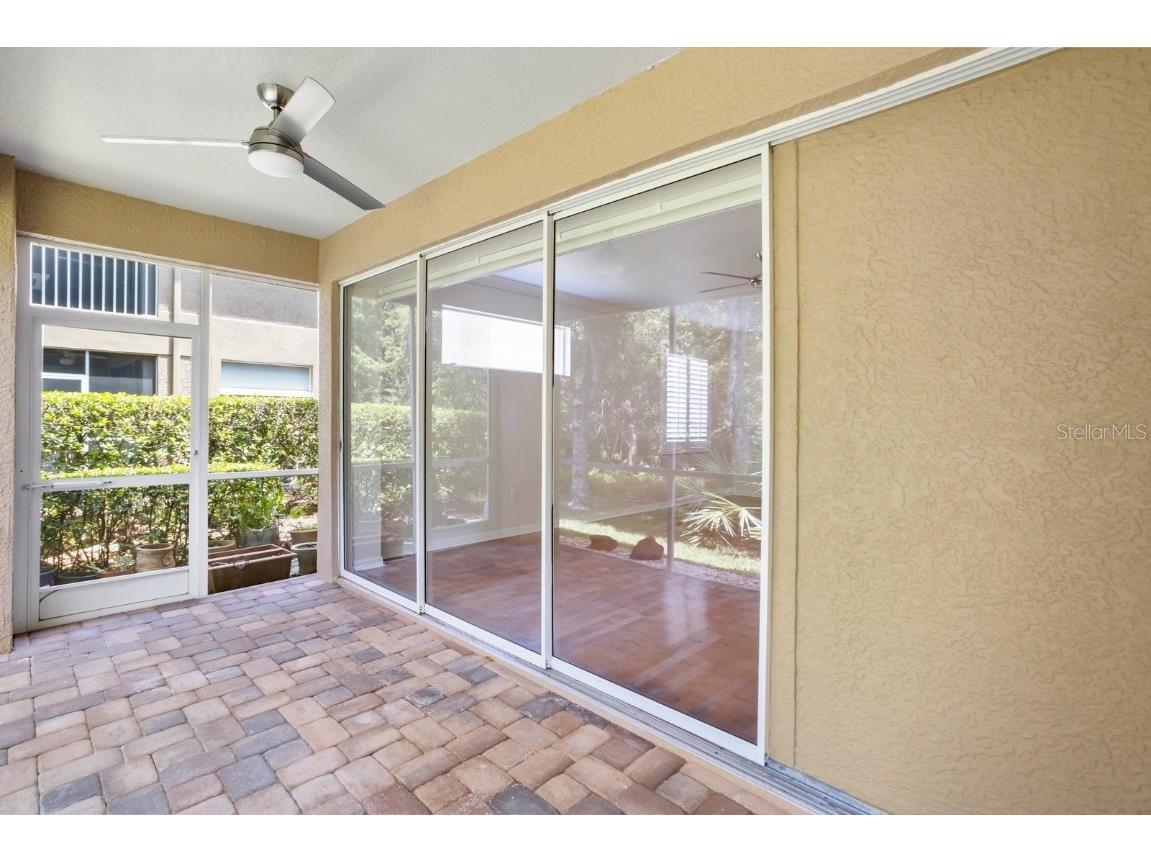 4224 Preserve Place Palm Harbor FL 34685 TB8348361 image8