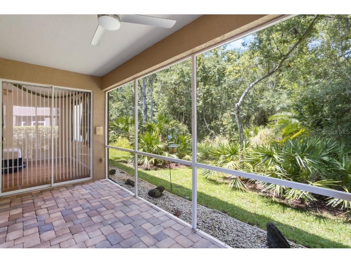 4224 Preserve Place Palm Harbor FL 34685 TB8348361 image9