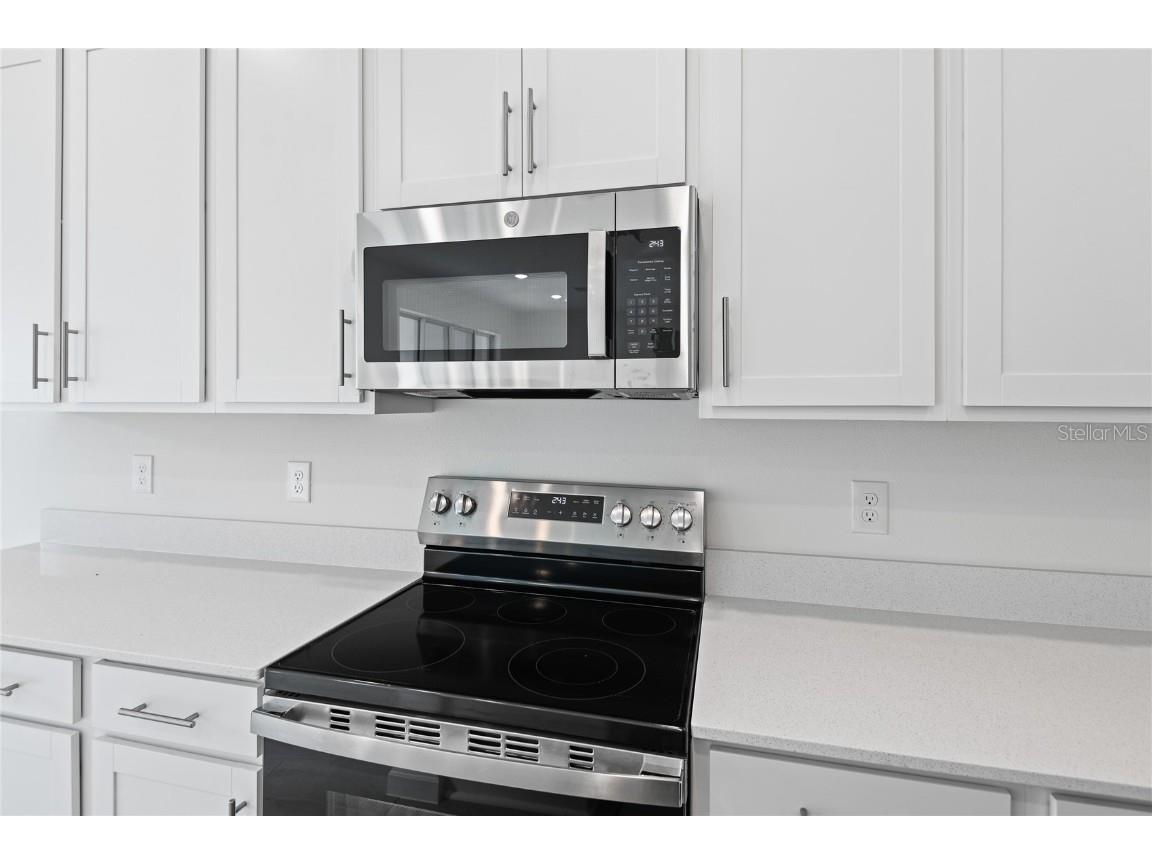 4224 Sawtooth Court Tavares FL 32778 S5112603 image4