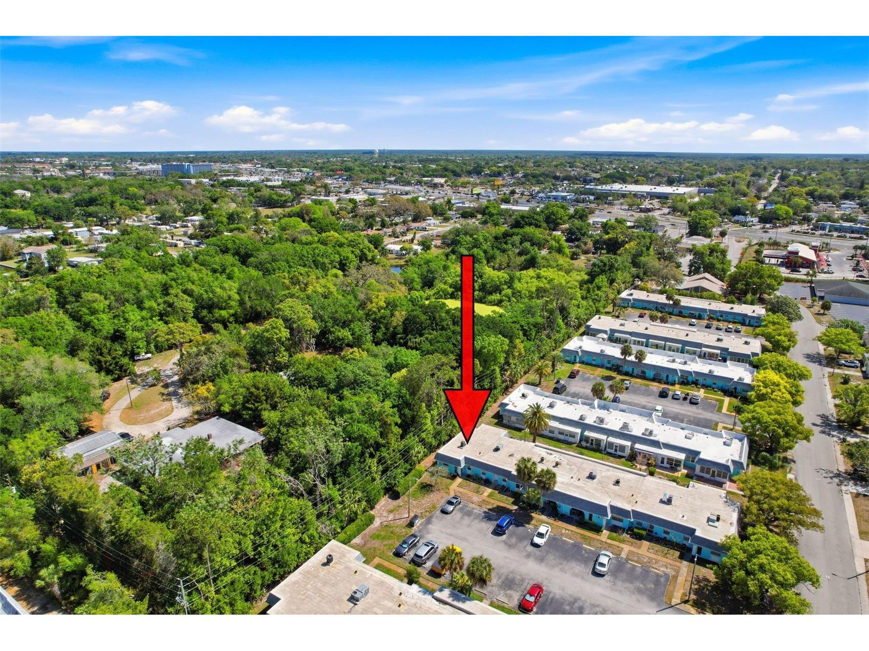 4224 Terrapin Place #4224 New Port Richey FL 34652 W7884612 image51