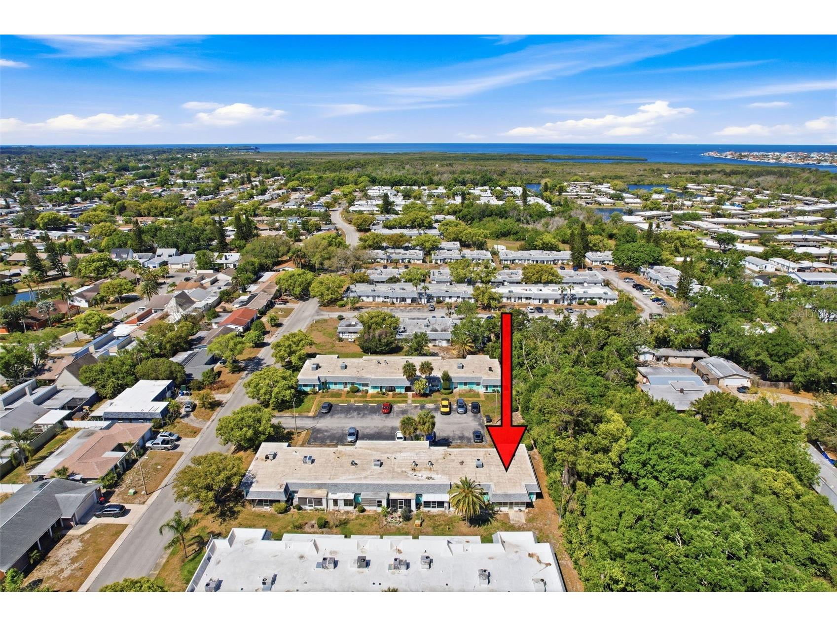4224 Terrapin Place #4224 New Port Richey FL 34652 W7884612 image55