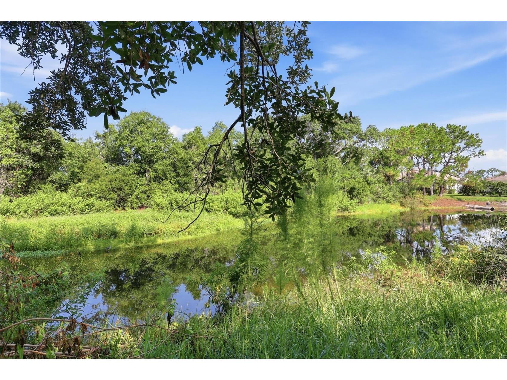 4224 Via Piedra Circle #4-102 Sarasota FL 34233 A4699278 image41