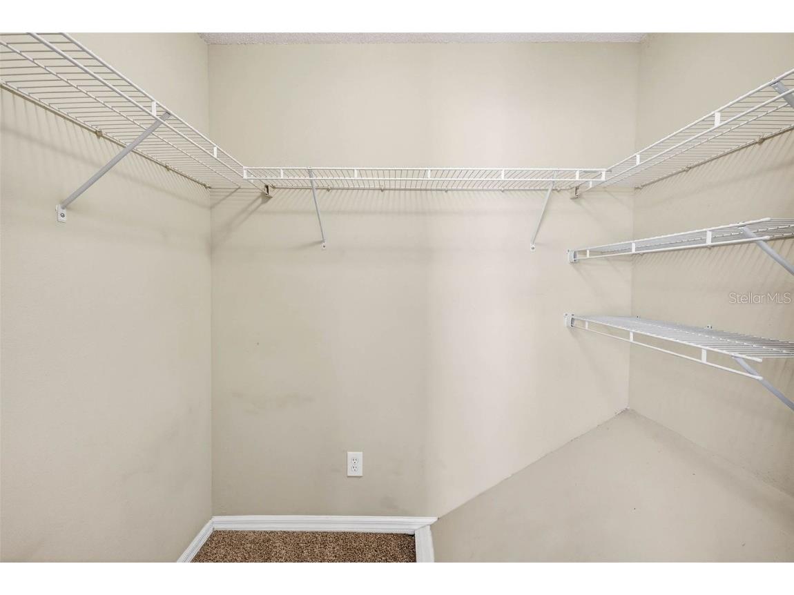 4224 Winding River Way Land O Lakes FL 34639 TB8457351 image26