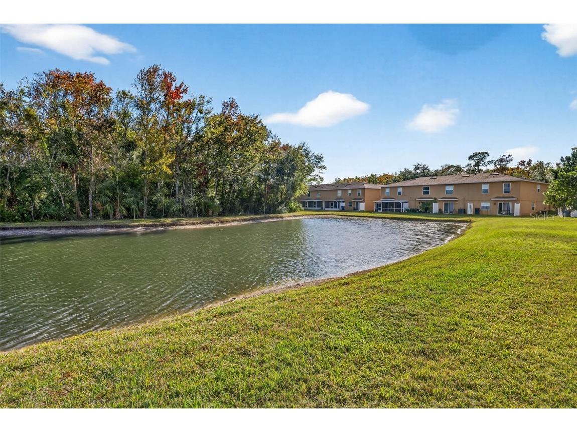 4224 Winding River Way Land O Lakes FL 34639 TB8457351 image36