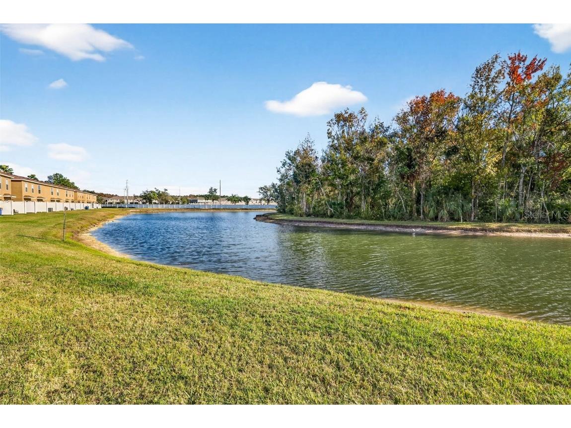 4224 Winding River Way Land O Lakes FL 34639 TB8457351 image5