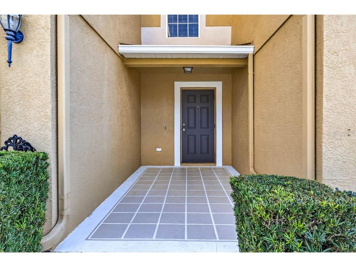 4224 Winding River Way Land O Lakes FL 34639 TB8457351 image7