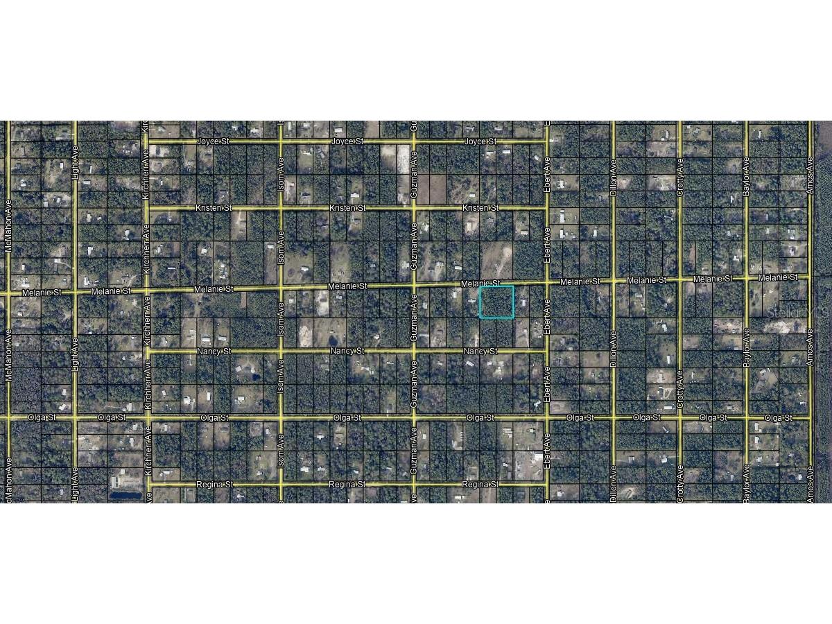 4225 Melanie Street Hastings FL 32145 A4668531 image2